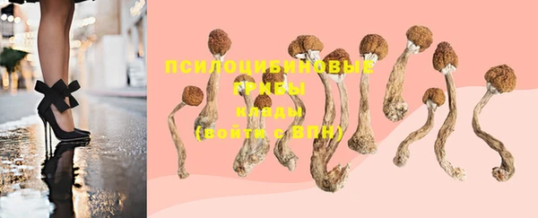 круглые Осташков