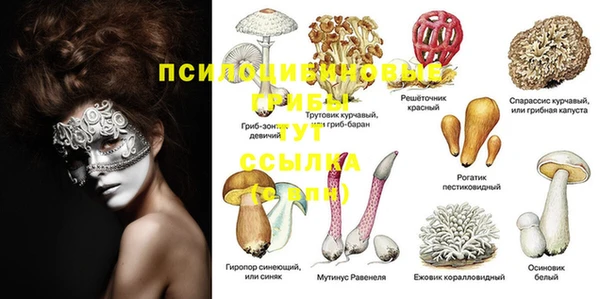 гашик Алзамай