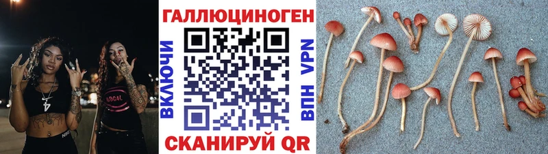 Галлюциногенные грибы мухоморы  Грязовец 